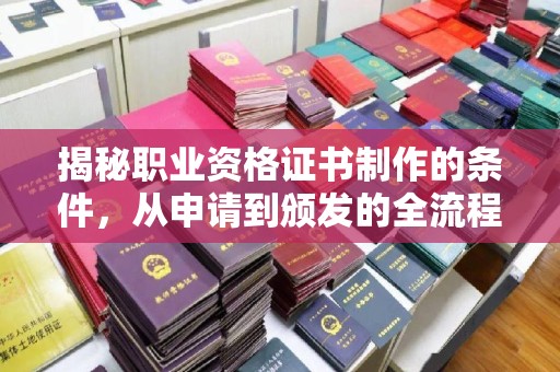 沙依巴克揭秘职业资格证书制作的条件，从申请到颁发的全流程解析