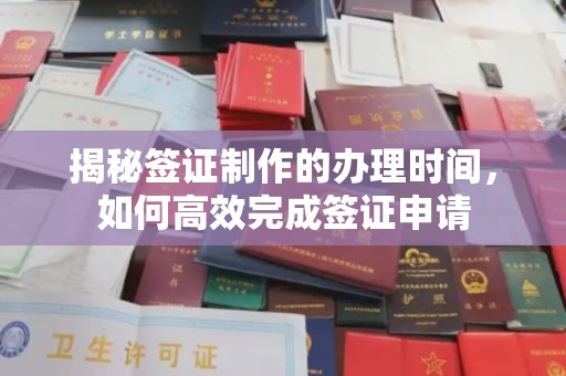 宾阳揭秘签证制作的办理时间，如何高效完成签证申请